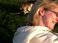 Sch�ferhund Charly