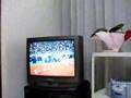 アンカー野口みずき