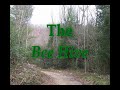 The Bee Hive- Vacation Rental in US