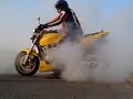 honda hornet fun
