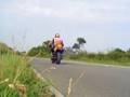 honda hornet fun