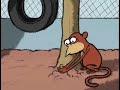 Zoo