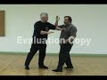 Nathan Menaged - Tai Chi Corner - DVD Sample