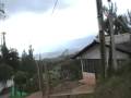 videos de El carmen 11 xvid
