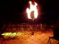 Lix va al circo
