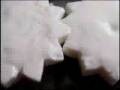 White Cog White Cog
