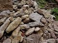 Bruce Trail - Borer\ Bruce Trail - Borer\