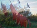 Egenfotade bilder- BOM BOM BOM