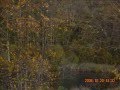 Egenfotade bilder- BOM BOM BOM
