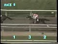 1988 Bradbury Stakes
