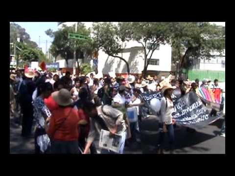 sangre justicia