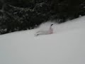 skiing-accident.html