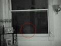 Stan Romanek Alien Peeping Tom 1 of 4
