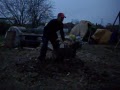 Serbian Defense Dog - Trening