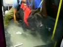Rufus rehab underwater treadmill #1-7/22/08