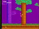 supernes