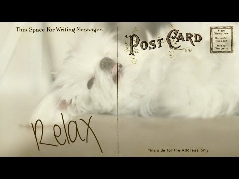 Play YouTube video