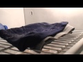 Frozen Underwear Prank (937)