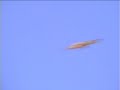 Eagles Flying Over A Peyote Meeting
