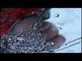 Snow Job Bloopers