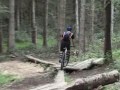 Dalby Forest North Shore