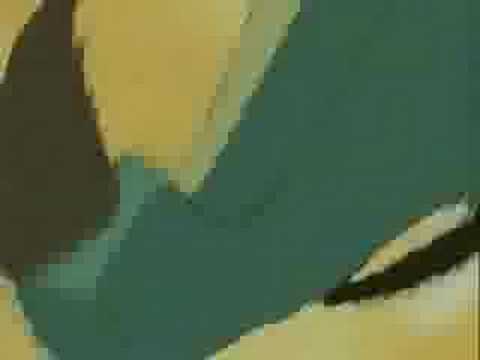 kitty- brackish