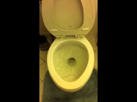 how to quietly unclog a toilet