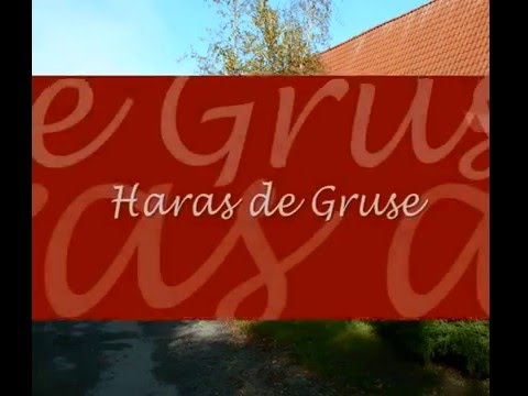 Image de prévisualisation YouTube