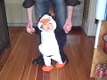 Flightless but Cute