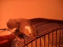Our babies
