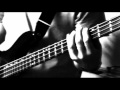 Ver Video