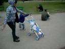 Lazy Stroll though Golden Gate Park
