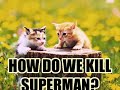Sex Kittens R in mah YooChoob... boostin mah viewz