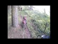 title="BikeJoring