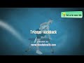 Triceps Workout with Dumbbell: Triceps KickBack on a Bench
