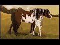 DA Herd