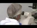 KPBS Alzheimer's disease