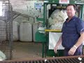 Shearing at lfracoombe