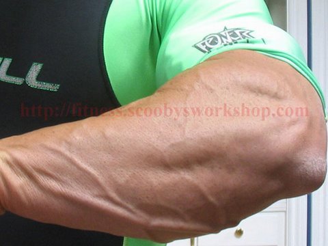 how to train wrist muscles