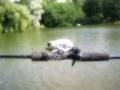 Bass Fishing - Sexy Tacklepics Pt.I - Spanish-Fishing.com