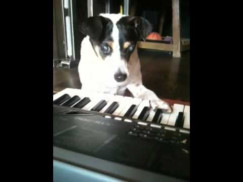 YouTube Preview Image