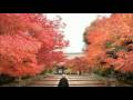 videos de BBC Motion Gallery Japan HD