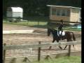 LjRk Vinnare Div II Dressyr 2008