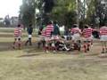 Try de Zappi II