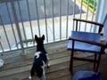 Murphy's Trick