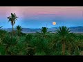 sura de la vaca  al baqara  versos 28   54