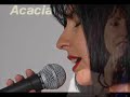 Wild is the wind - Acacia - Acoustic