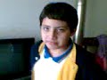 baile pokemon 2�