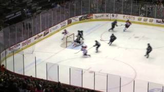 Cyclones v Icemen - December 29, 2014