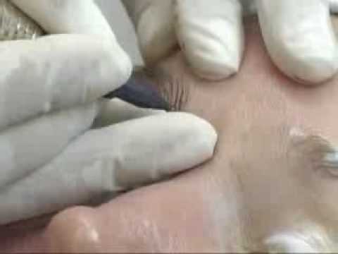 BETE SANTOS MICROPIGMENTAÇÃO